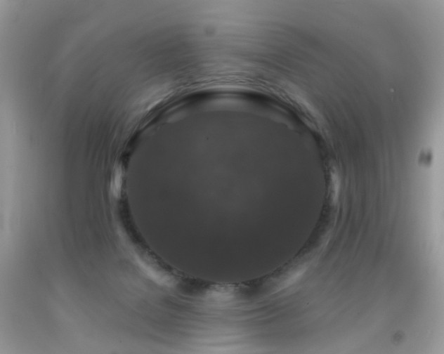 X0000091950076200709061249