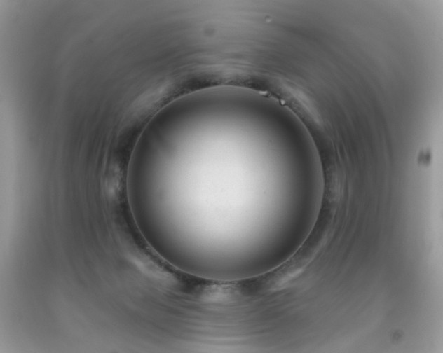 X0000091950077200709061249