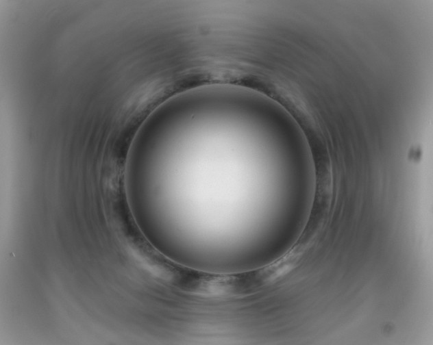 X0000091950078200709061249
