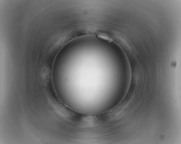 X0000091950079200709061249