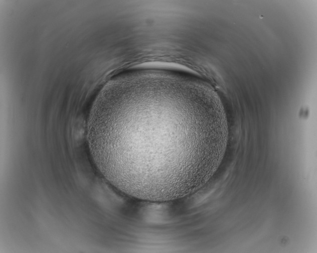 X0000091950081200709061249