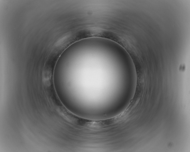 X0000091950082200709061249