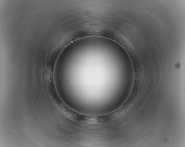 X0000091950083200709061249