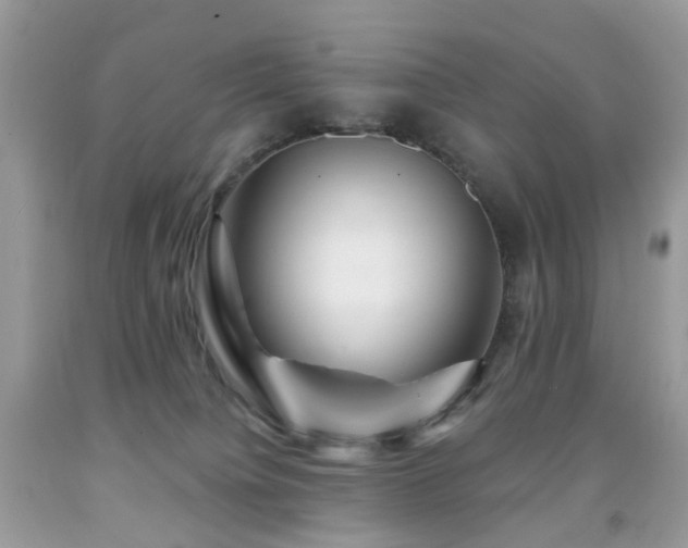 X0000091950084200709061249