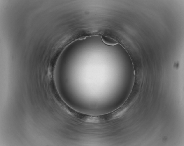 X0000091950085200709061249