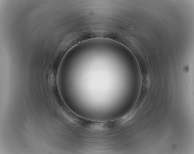 X0000091950086200709061249