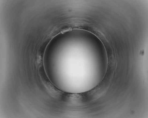 X0000091950087200709061249
