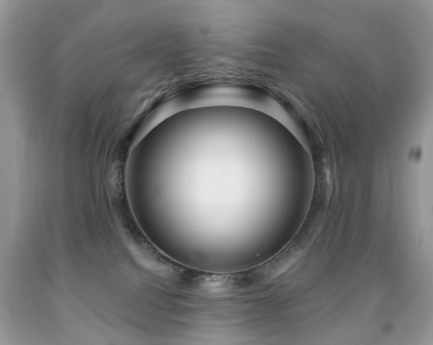 X0000091950088200709061249
