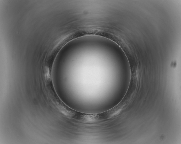 X0000091950089200709061249