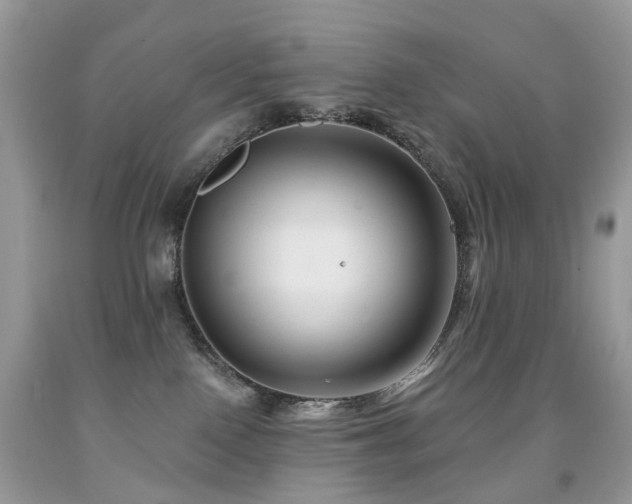 X0000091950090200709061249