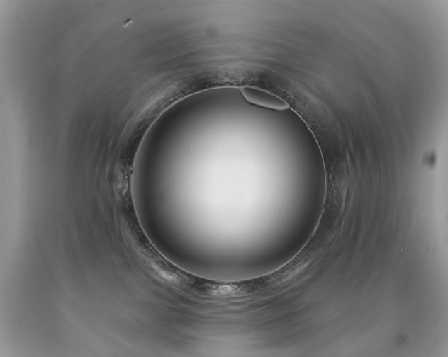 X0000091950091200709061249