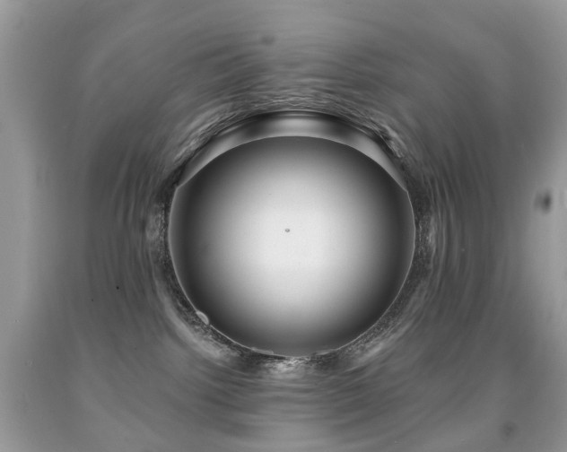 X0000091950092200709061249