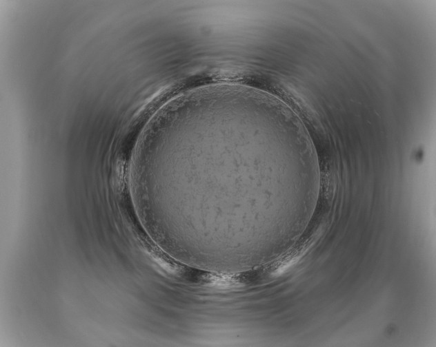 X0000091950093200709061249
