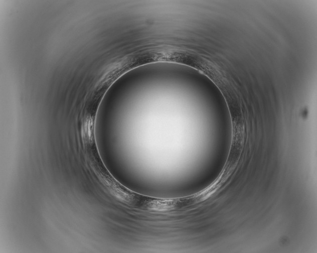 X0000091950094200709061249