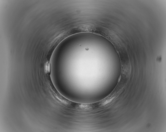 X0000091950095200709061249