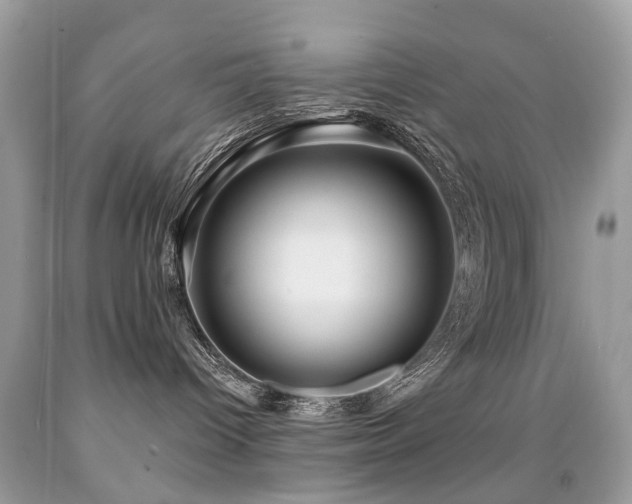 X0000091950096200709061249