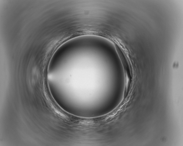 X0000091950097200709061249