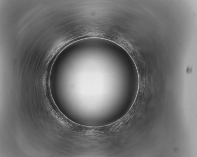 X0000091950098200709061249