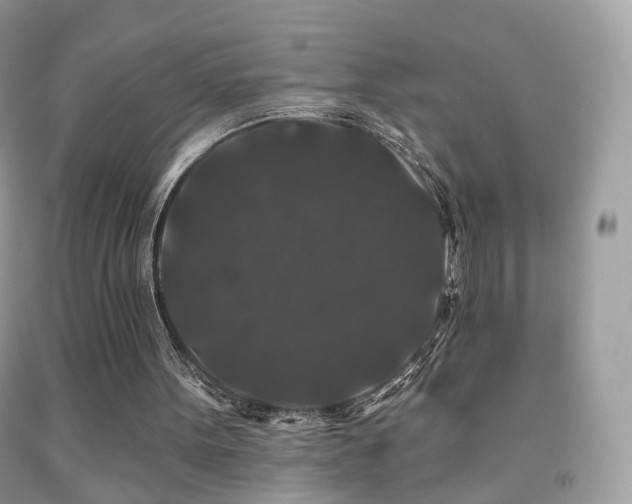X0000091950099200709061249