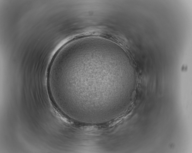 X0000091950100200709061249