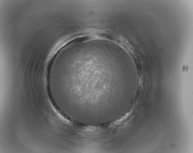 X0000091950101200709061249