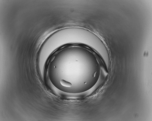 X0000091950103200709061249