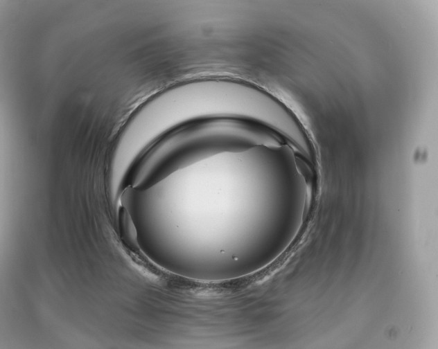X0000091950105200709061249