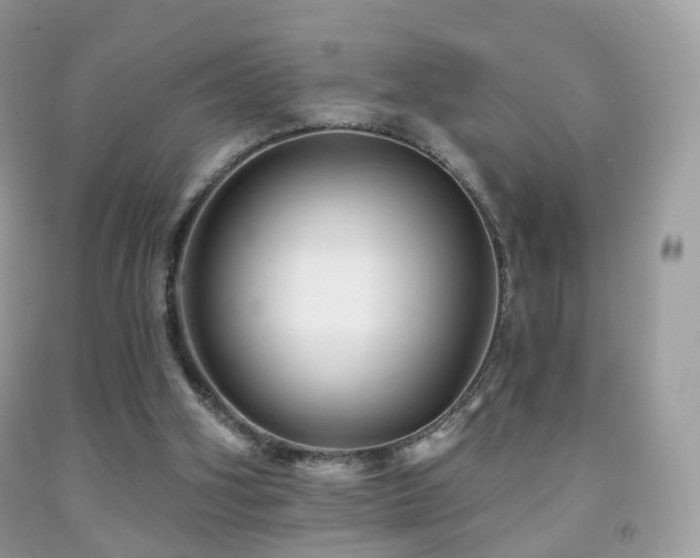 X0000091950106200709061249