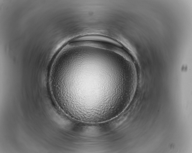 X0000091950107200709061249