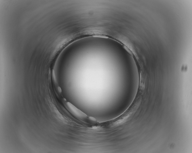 X0000091950109200709061248
