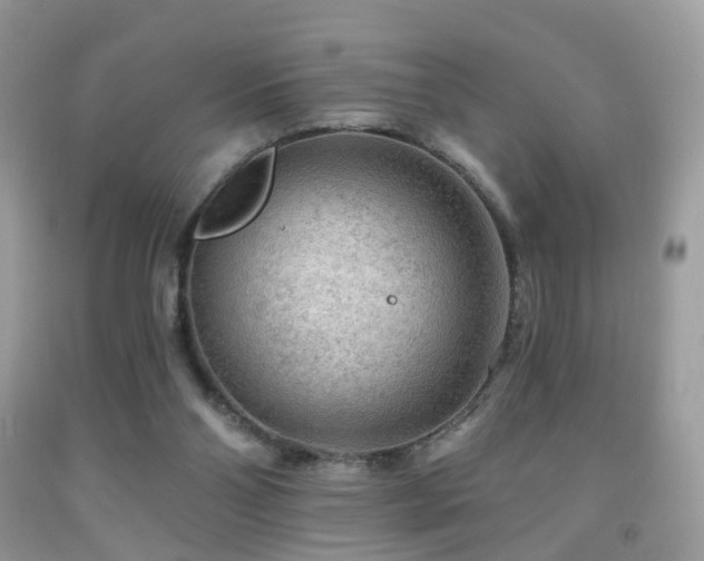 X0000091950110200709061248