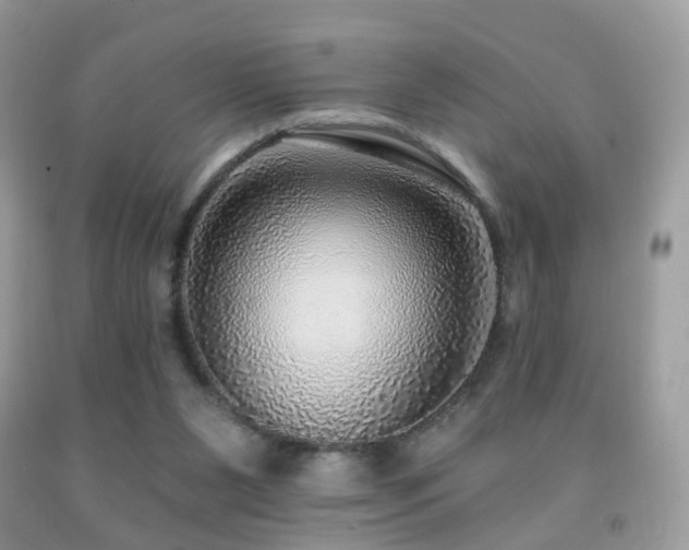 X0000091950111200709061248