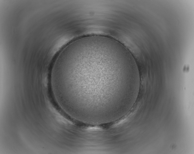 X0000091950112200709061248