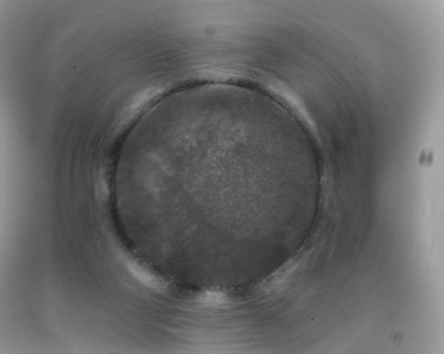 X0000091950114200709061248