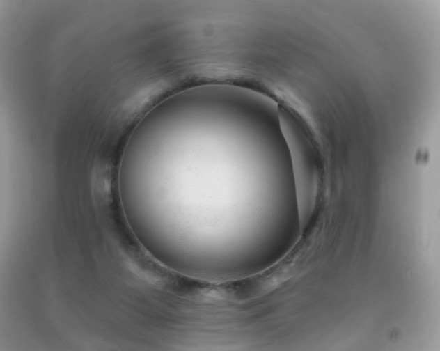 X0000091950115200709061248