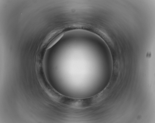 X0000091950116200709061248