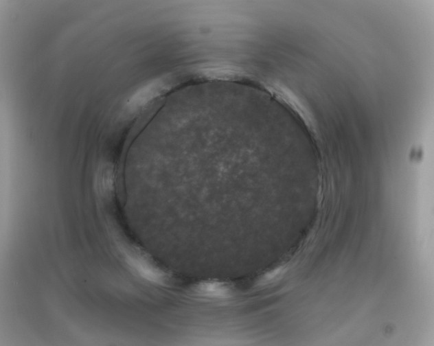 X0000091950117200709061248