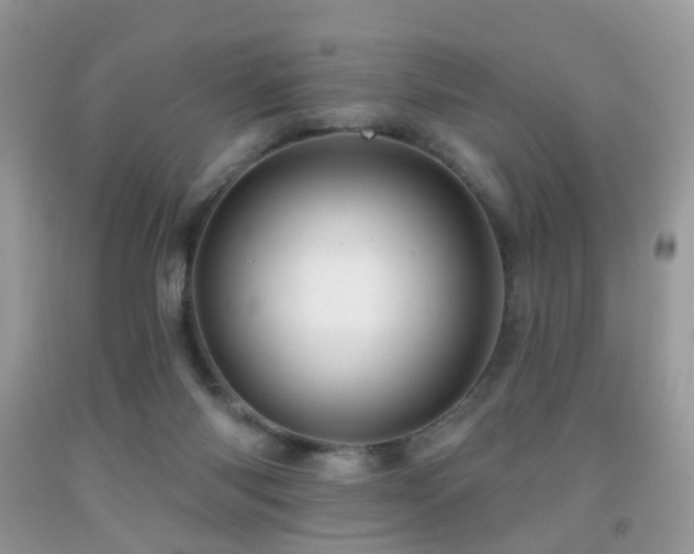 X0000091950118200709061248