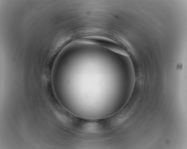 X0000091950119200709061248