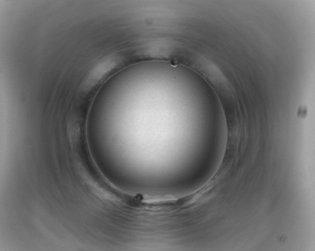 X0000091950120200709061248