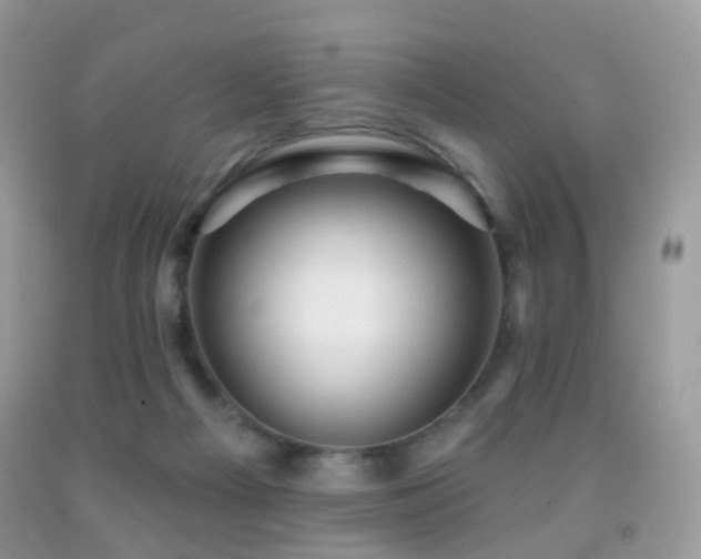 X0000091950121200709061248