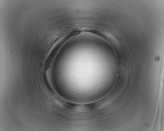 X0000091950123200709061248