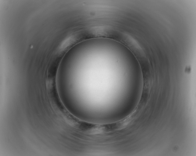 X0000091950124200709061248