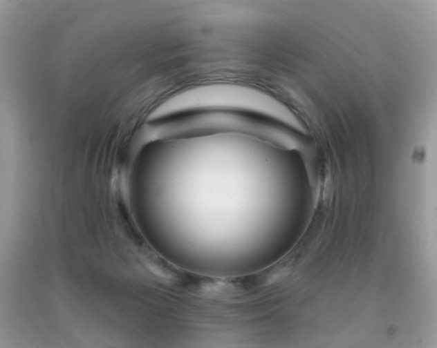 X0000091950125200709061248