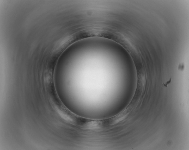 X0000091950126200709061248