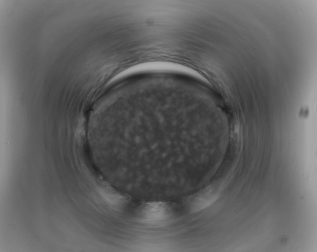 X0000091950127200709061248
