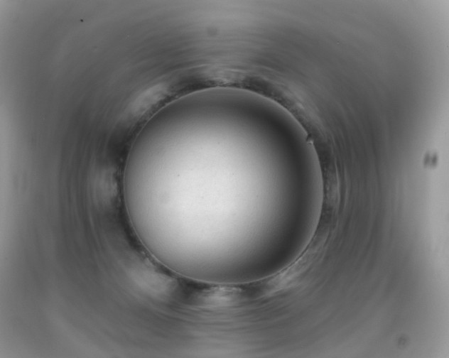 X0000091950128200709061248
