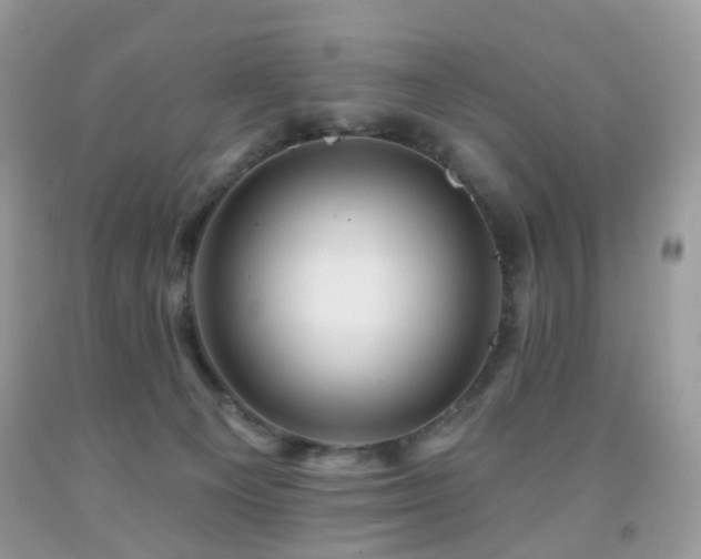 X0000091950129200709061248