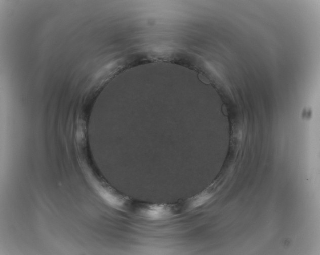 X0000091950130200709061248