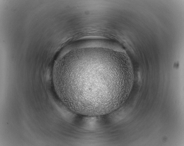 X0000091950131200709061248
